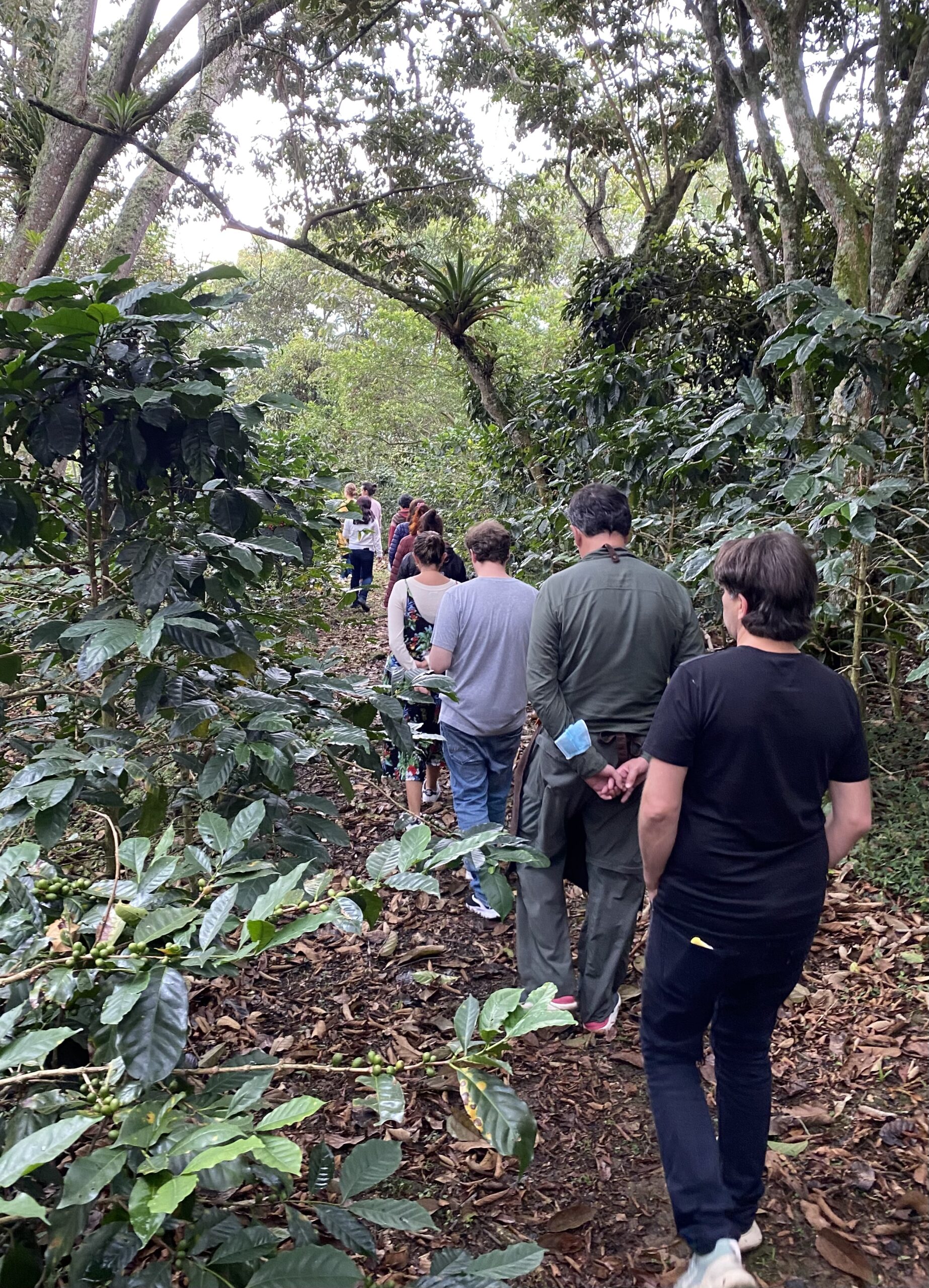 Prescripcion de Naturaleza Baños de Bosque
